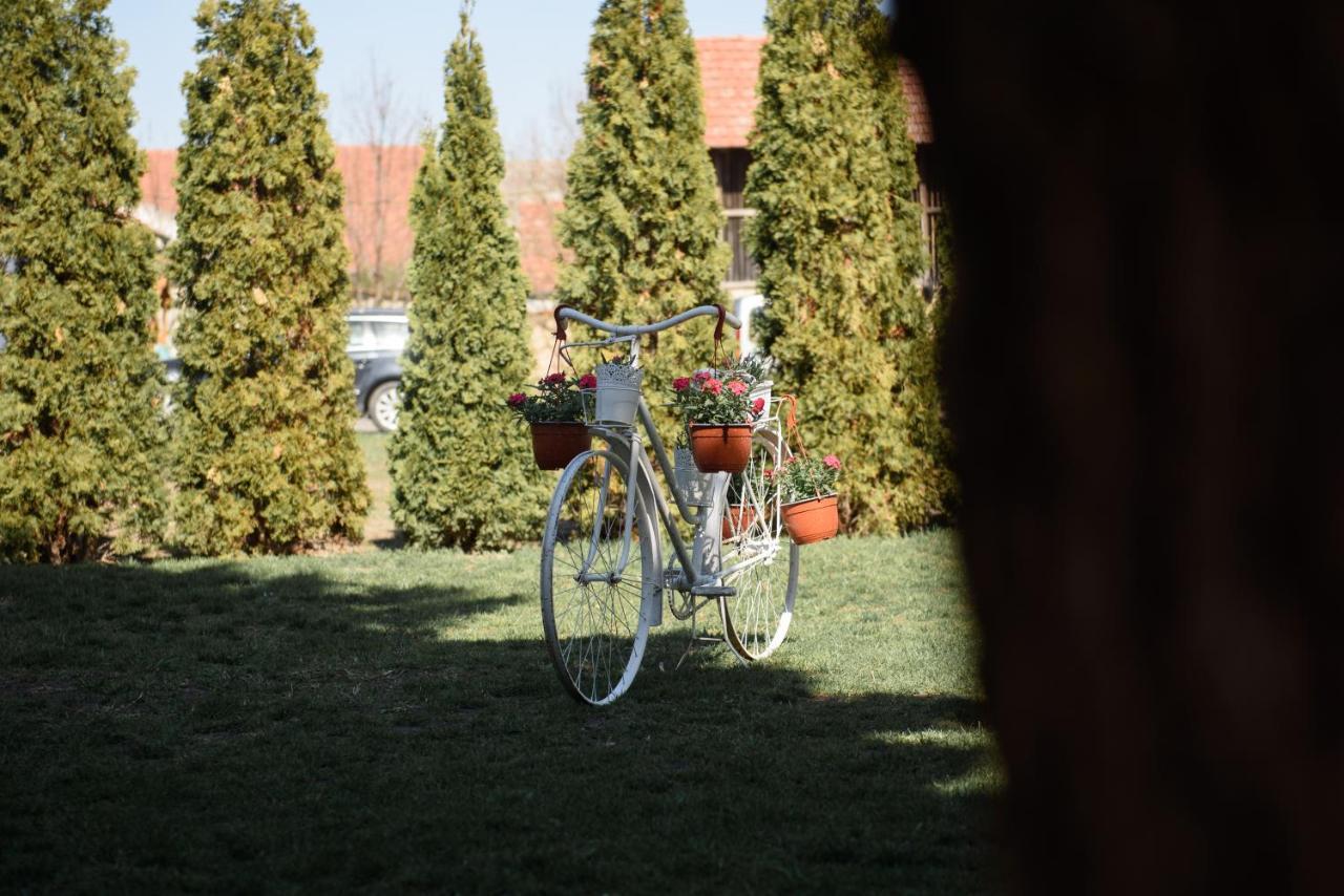 Dumalux Garden Lägenhet Subotica Exteriör bild