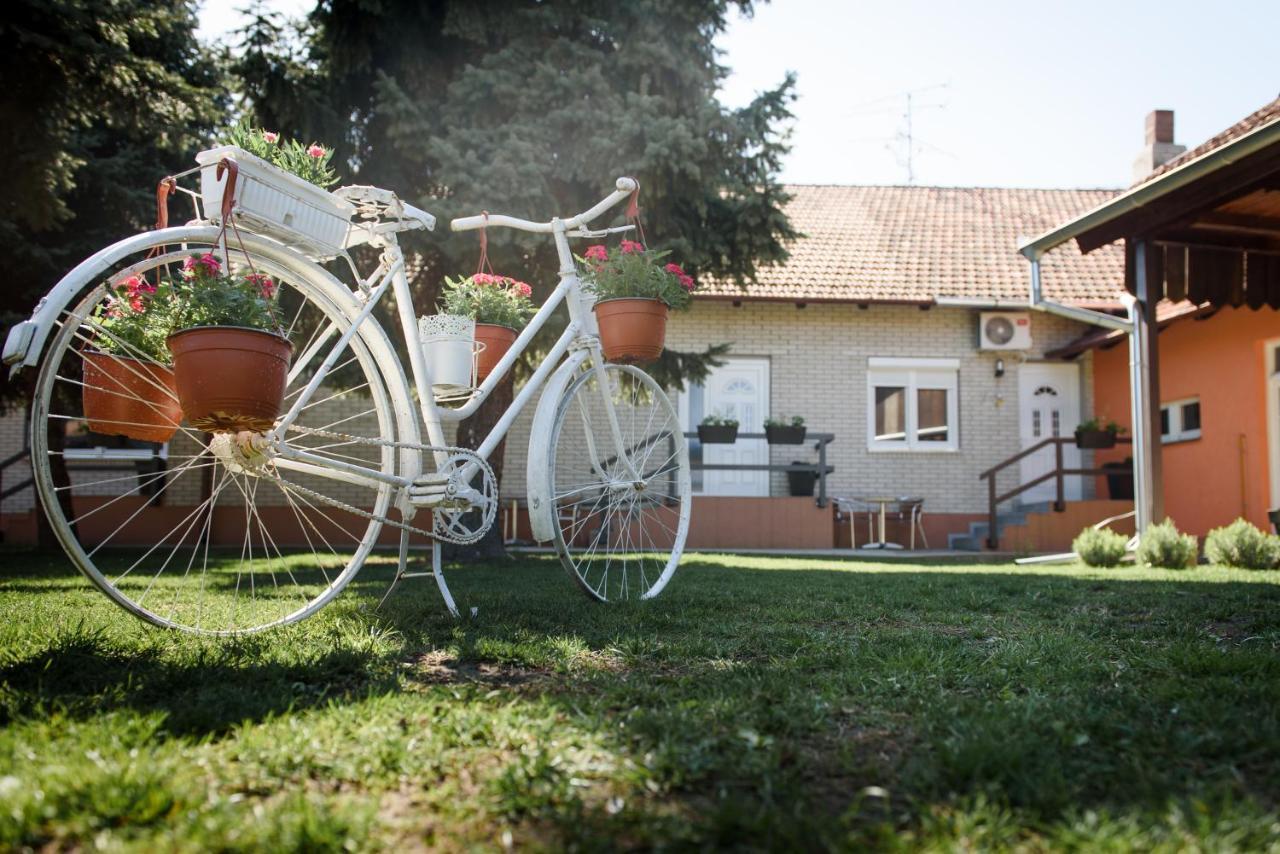Dumalux Garden Lägenhet Subotica Exteriör bild